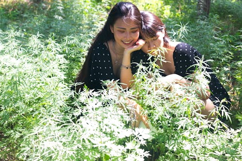 dişi, en yakın arkadaşlar, estetik içeren Ücretsiz stok fotoğraf