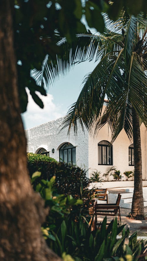 A white house with palm trees in front of it