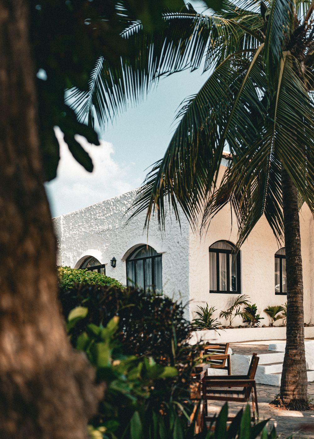 A white island house tucked between tall palms and lush greenery.