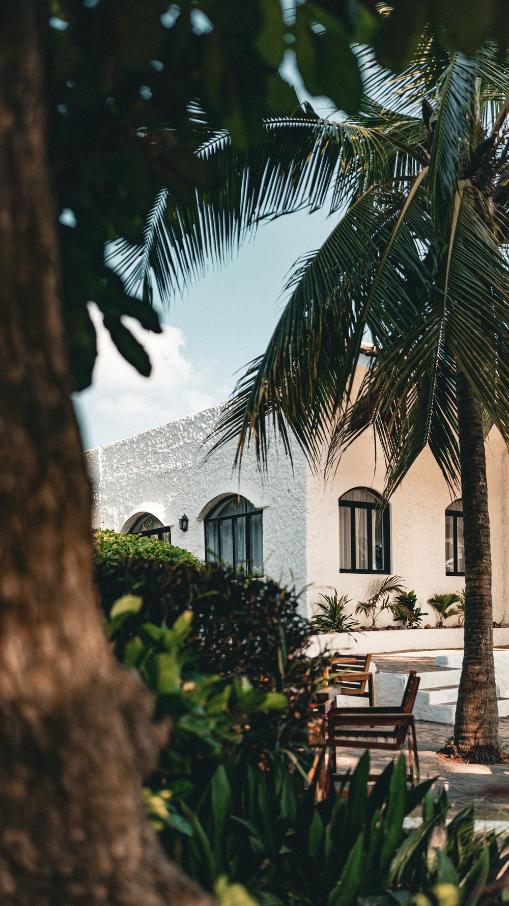 South Florida residential home with palm trees, representing residential pest control service