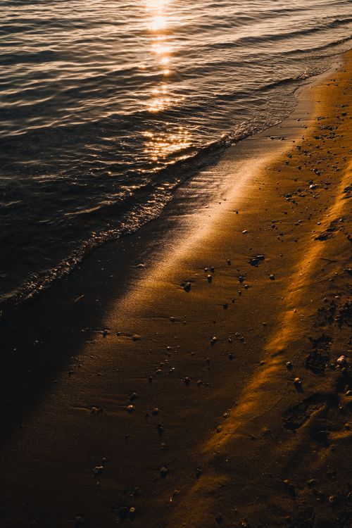 Free stock photo of 35mm, fujifilm, seacoast Stock Photo