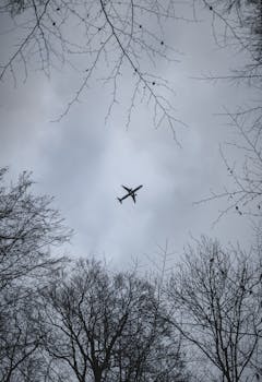 Silhouette of an airplane flying high over winter trees.