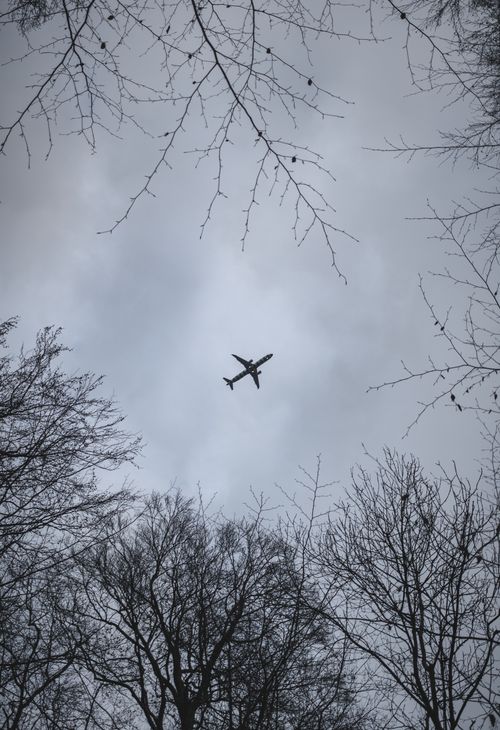 Free Silhouette of an airplane flying high over winter trees. Stock Photo