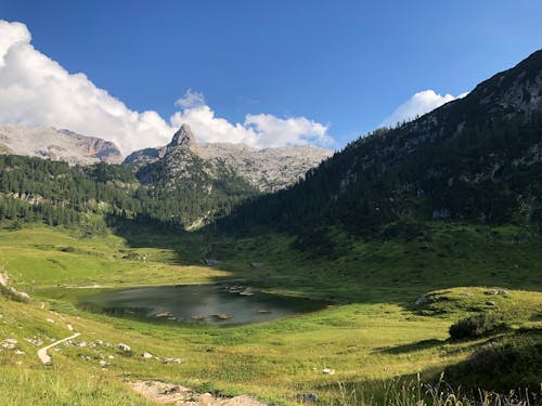 ağaçlar, dağlar, doğa içeren Ücretsiz stok fotoğraf