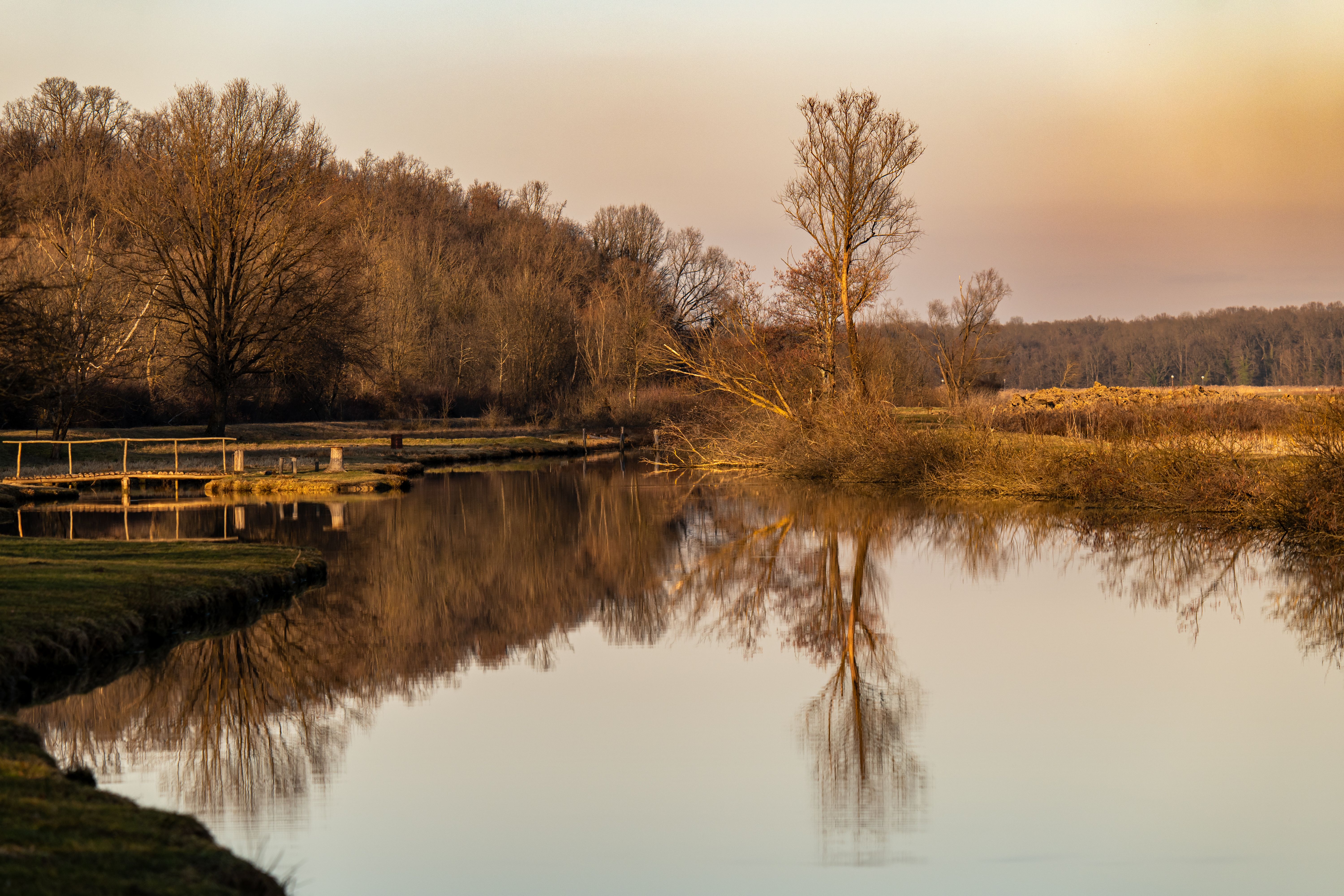 Beautiful sunset over a tranquil lake reflecting barren trees in Kaniška Iva.