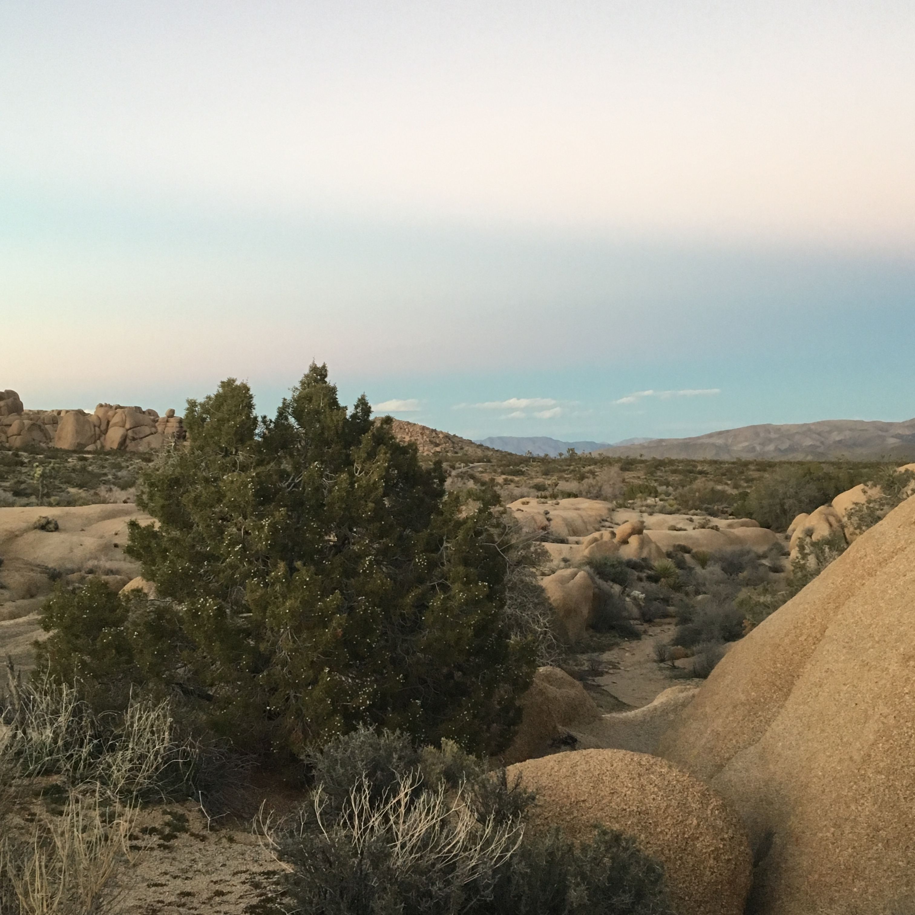 Breathtaking view of Riverside County, CA desert with rocky terrain and clear sky.