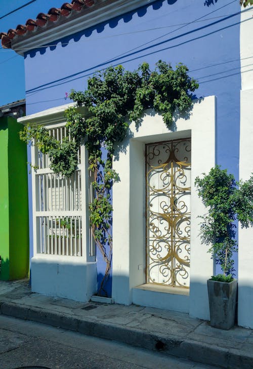 A colorful house with a door and a plant