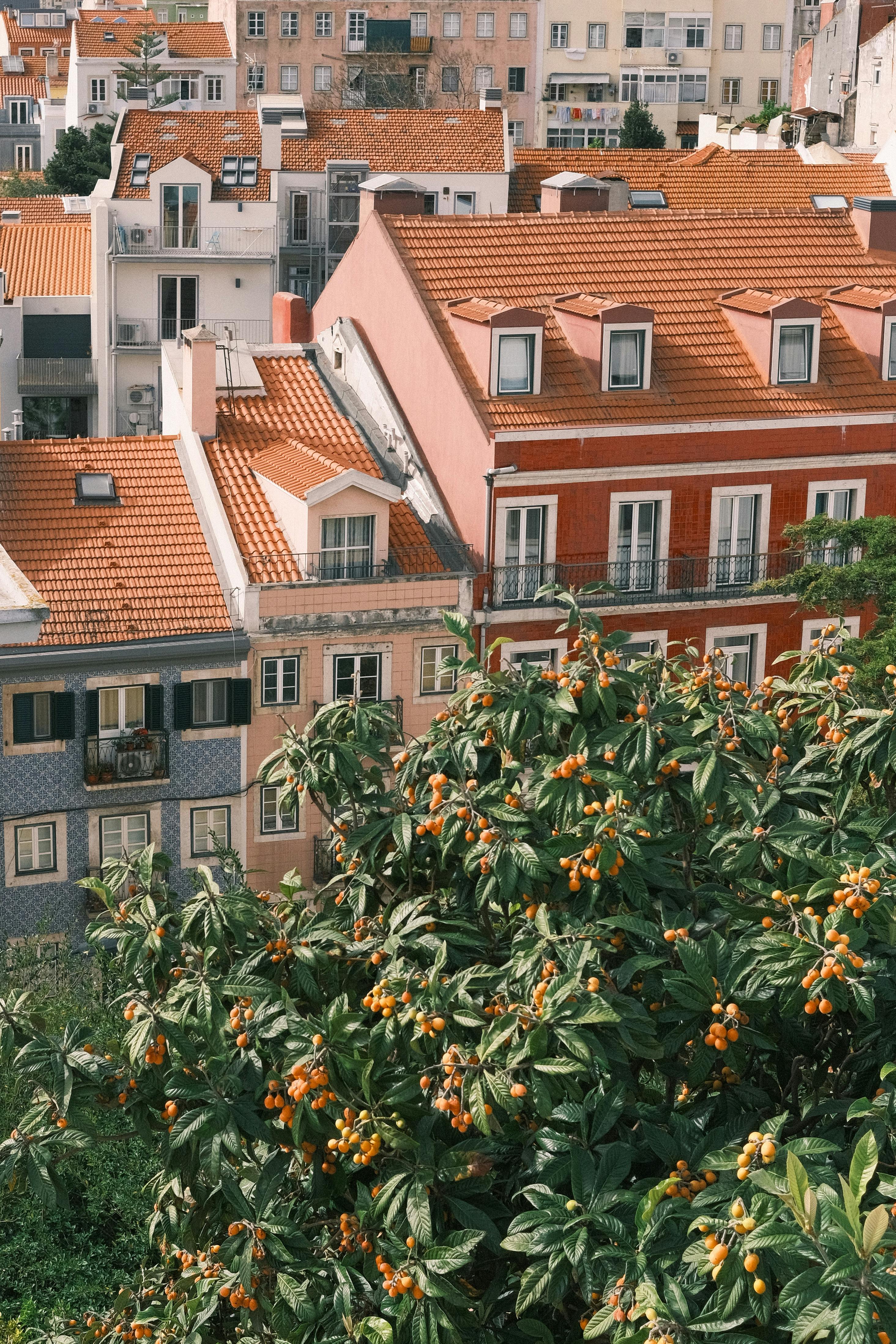 Explore Lisbon's vibrant architecture and lush greenery in this stunning aerial view of the city's iconic orange rooftops.