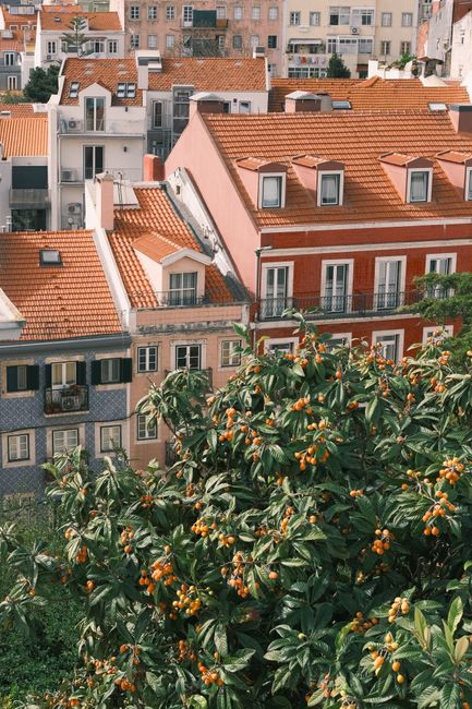 Explore Lisbon's vibrant architecture and lush greenery in this stunning aerial view of the city's iconic orange rooftops.