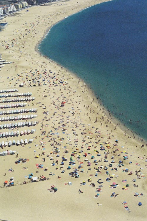 People on Beach in Summer