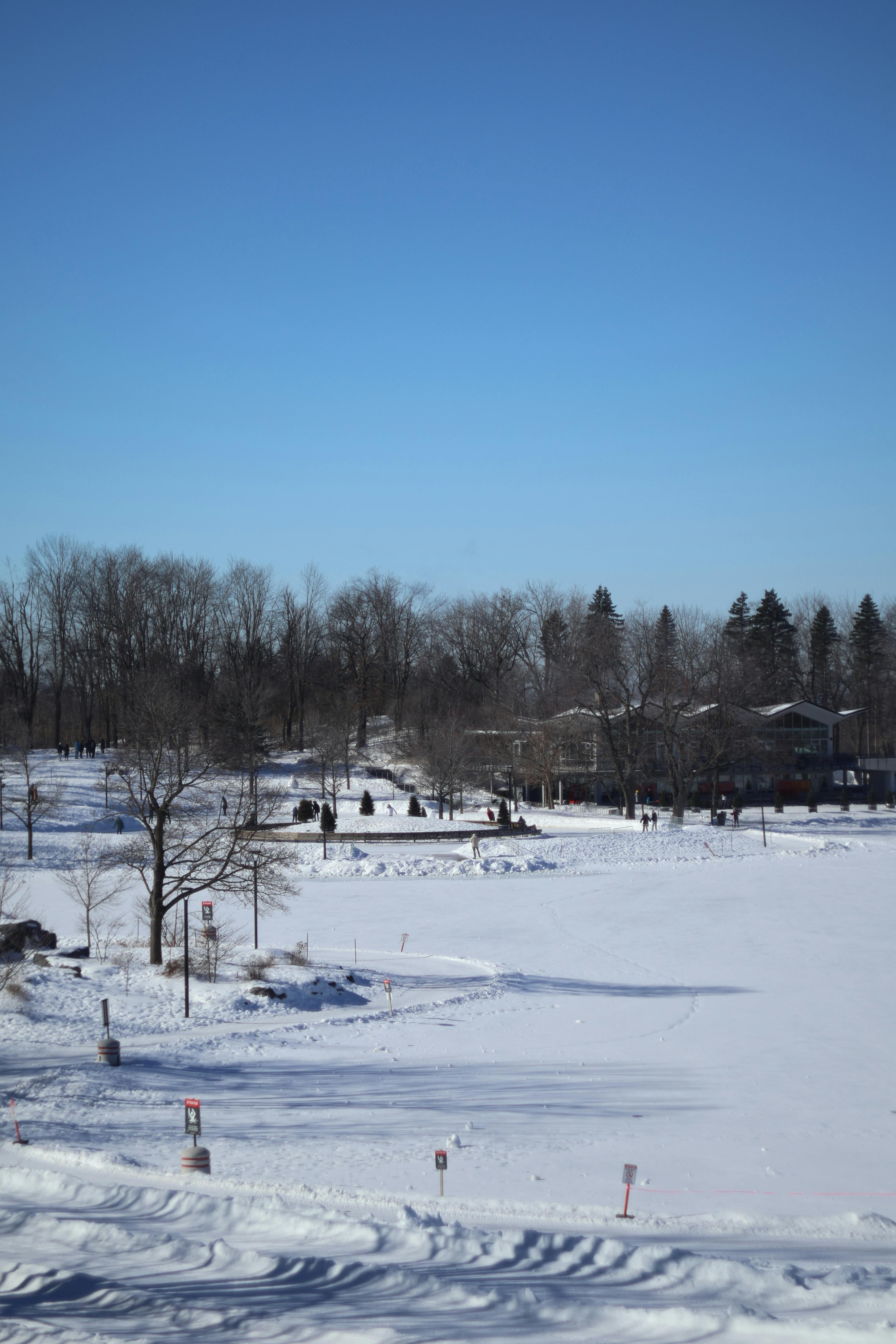 Patinoire Du Mont Royal · Free Stock Photo