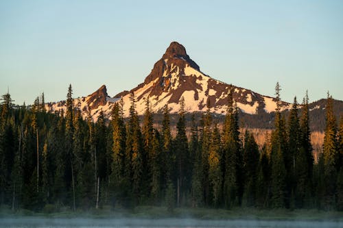Free Mountain behind Forest in Oregon in USA Stock Photo
