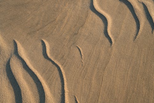 ハイアングル, ビーチ, 不毛の無料の写真素材