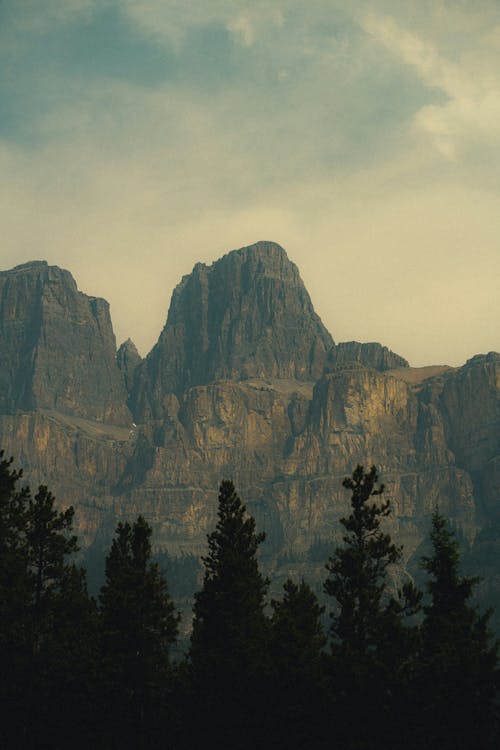 A photo of a mountain range with trees
