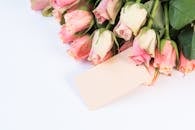 这束精致的粉红玫瑰配有空白标签，非常适合用来传递信息