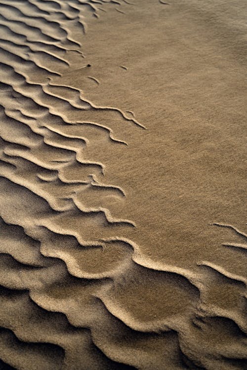 Foto profissional grátis de amarelo, areia, chão