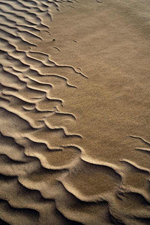 Shapes on Sand · Free Stock Photo
