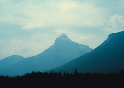 A mountain is seen in the distance with trees