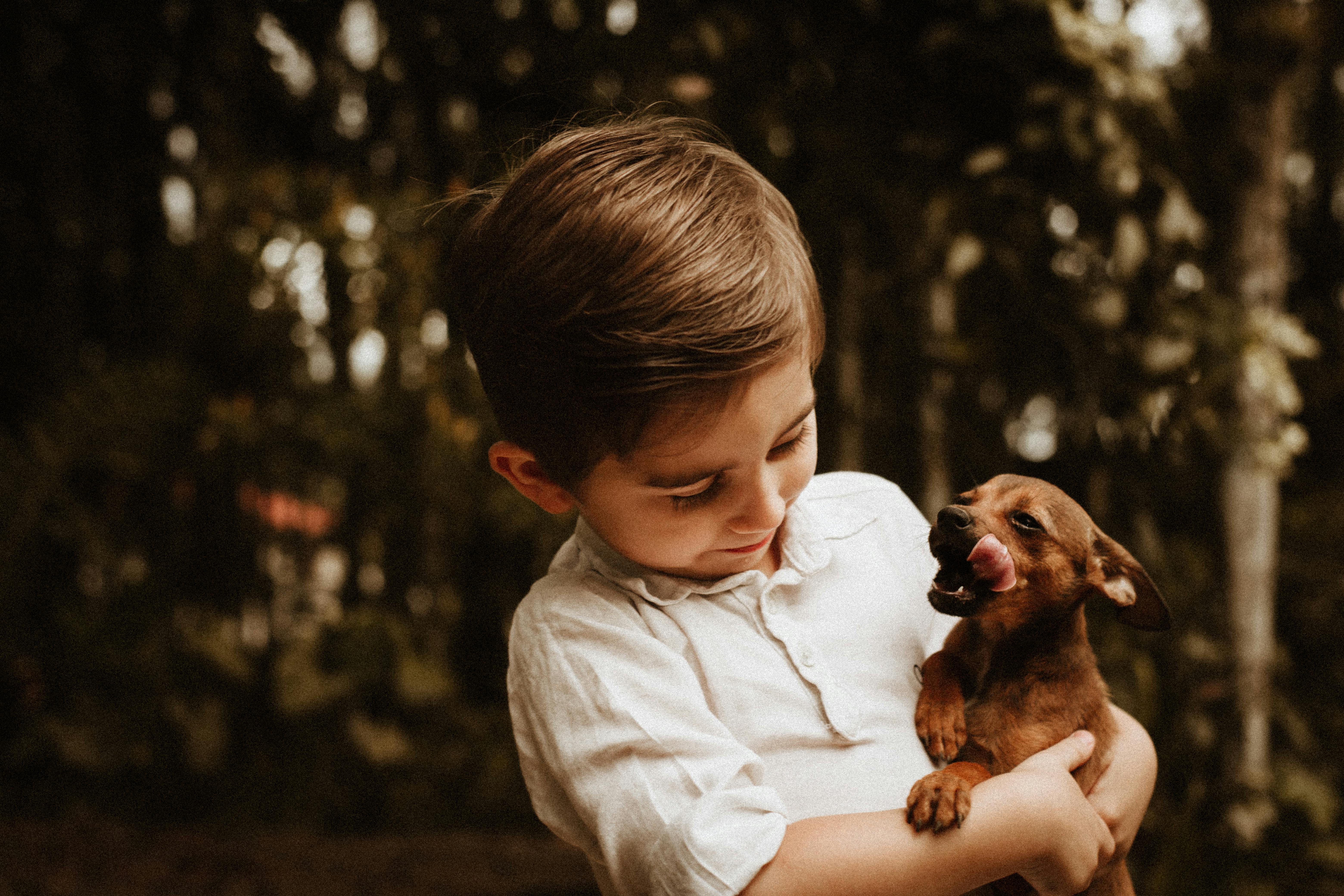 A young boy joyfully holds a playful puppy in a sunlit garden.