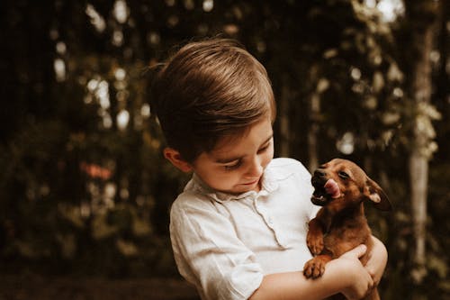 A boy holding a small dog in his arms