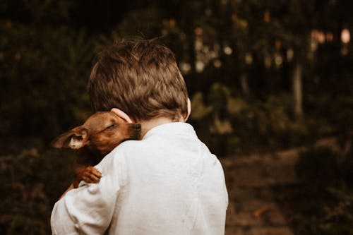 A boy hugging a small dog