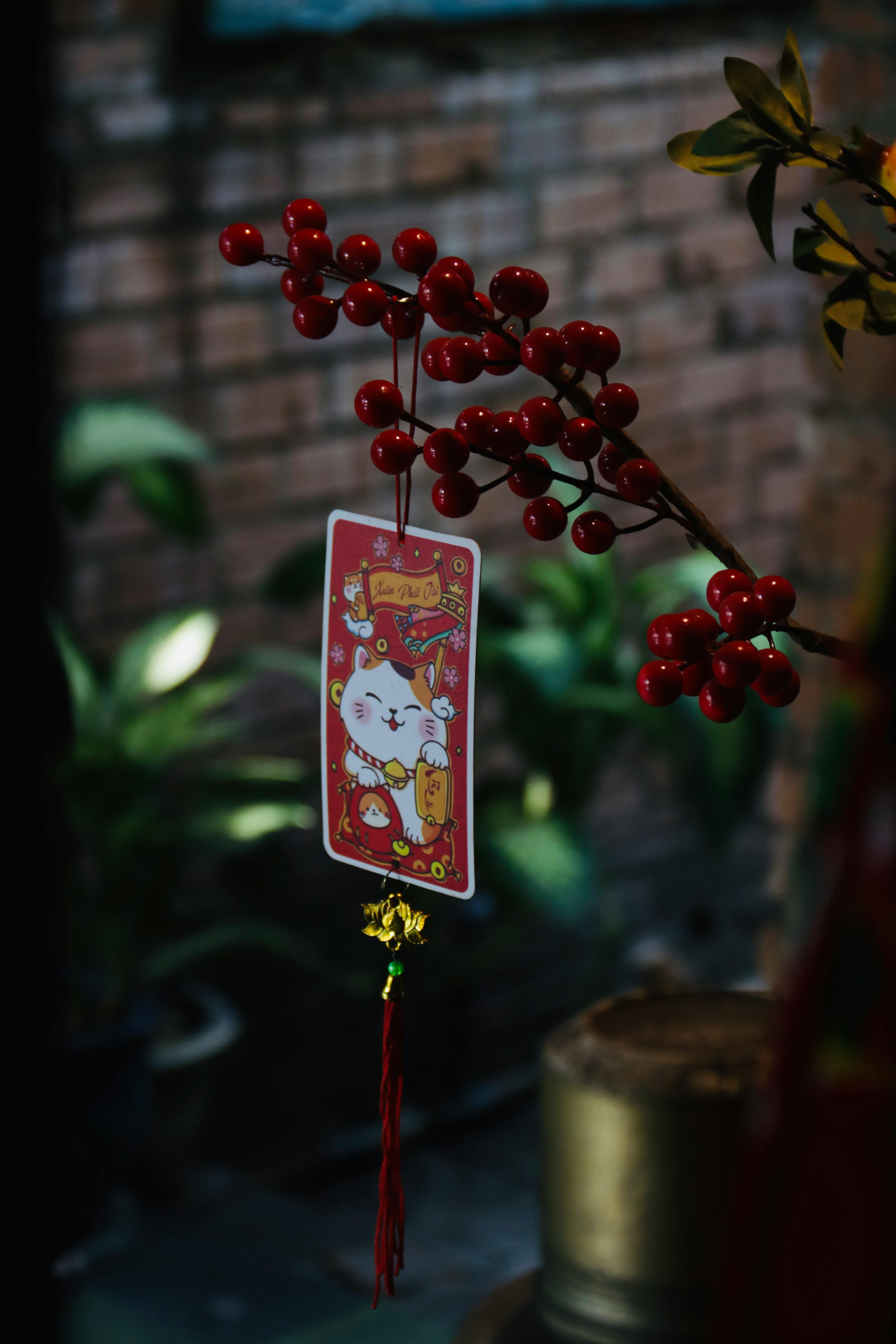 春節彩券熱潮！樂透與刮刮樂你選哪個？🎉💰