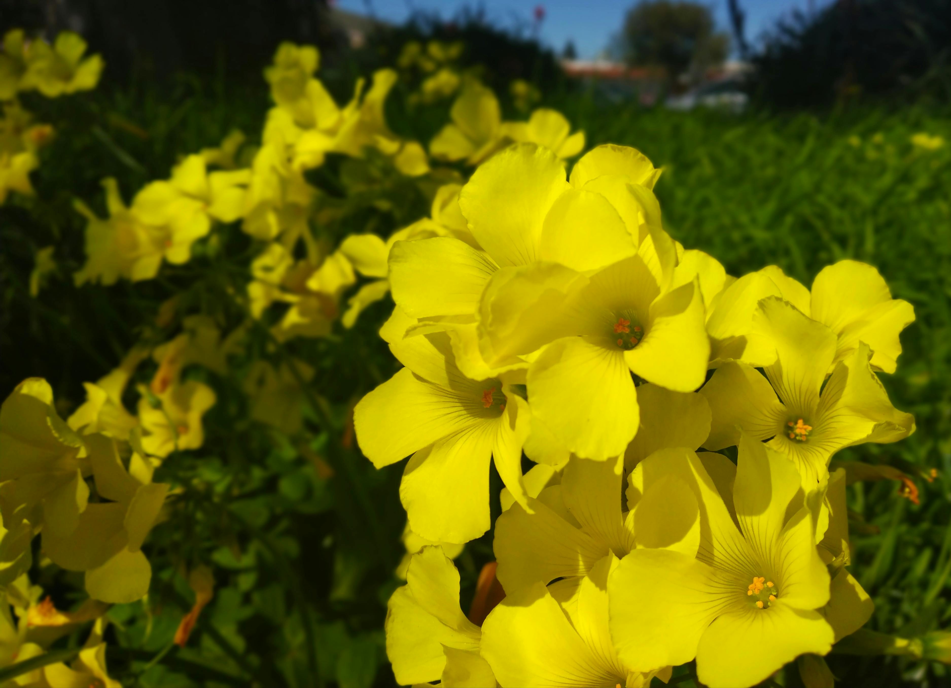 Q&A Session with Pastor Mike Wilson