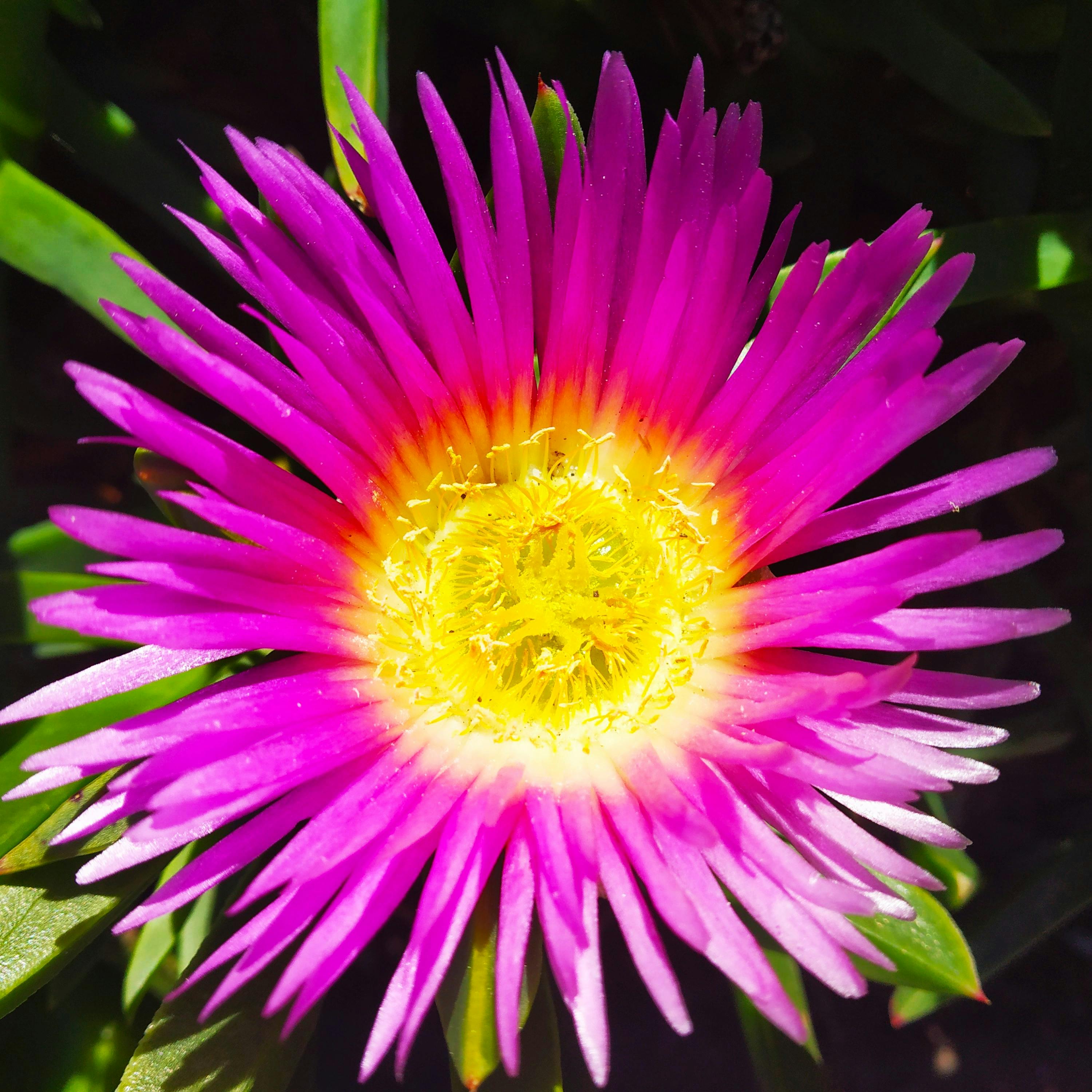 Prayer and Intercession Night