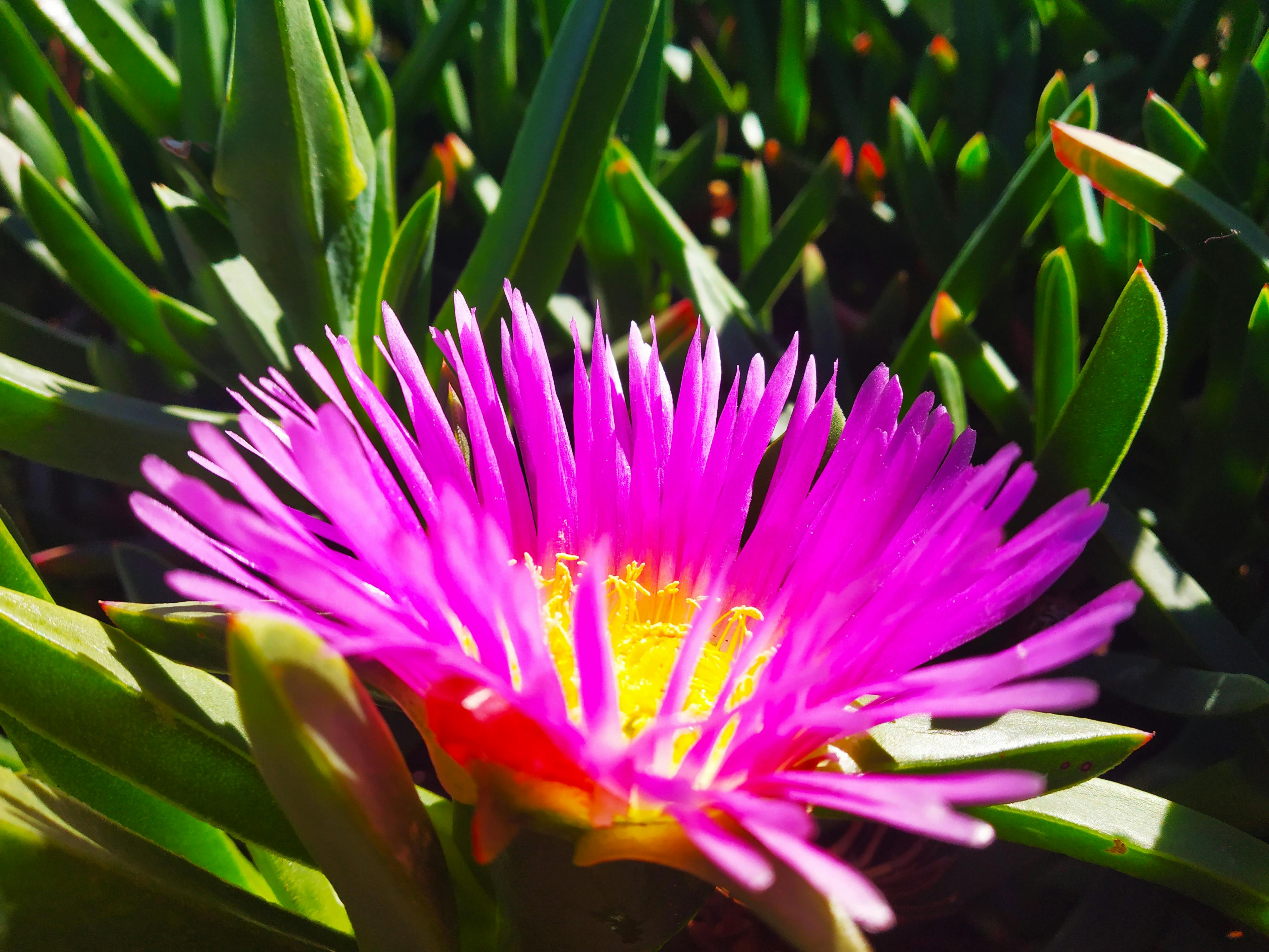 Praise and Worship Concert