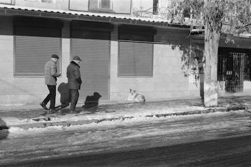 Two people walking down a street with a dog