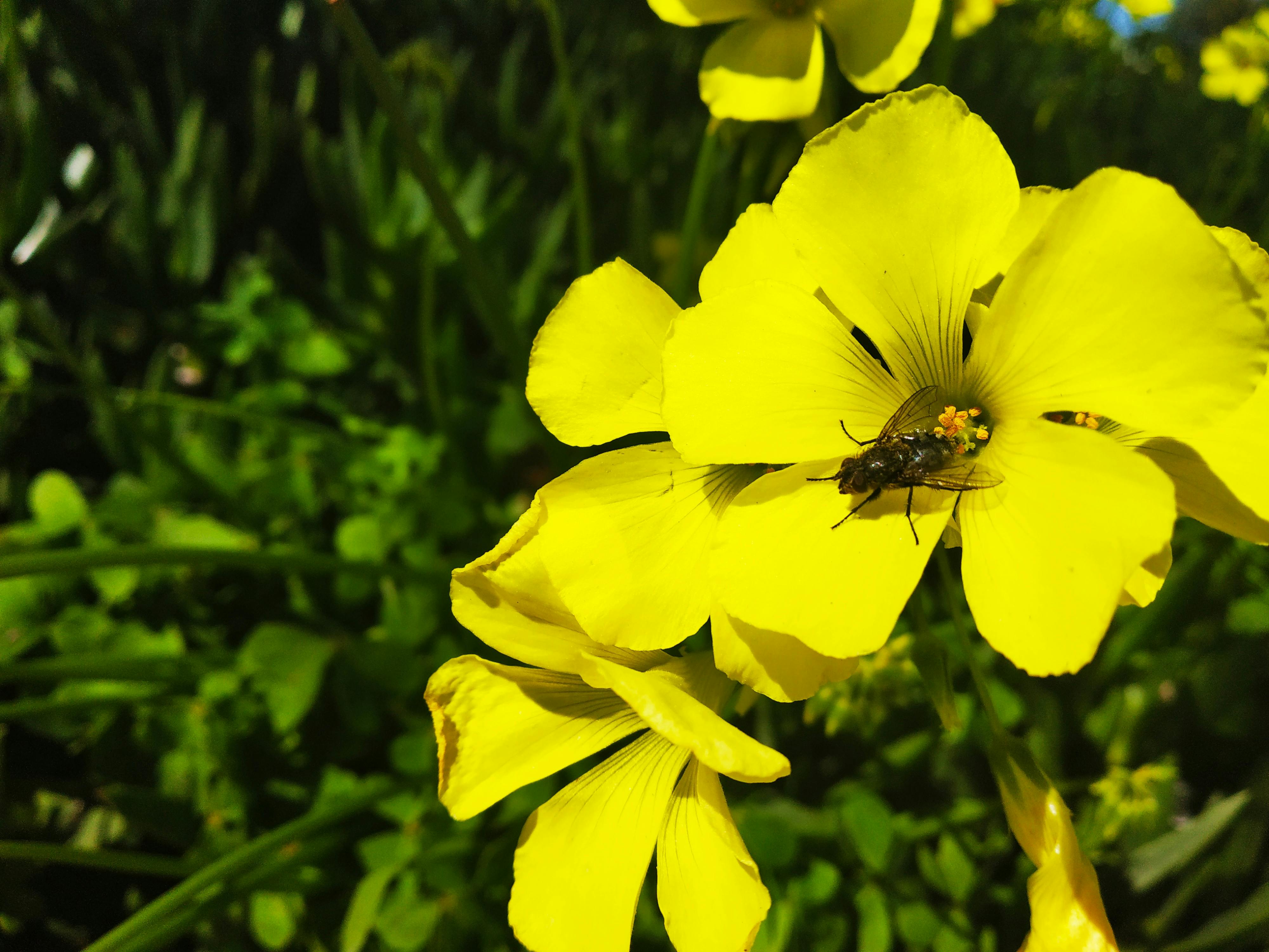 Easter Sunday Service LIVE