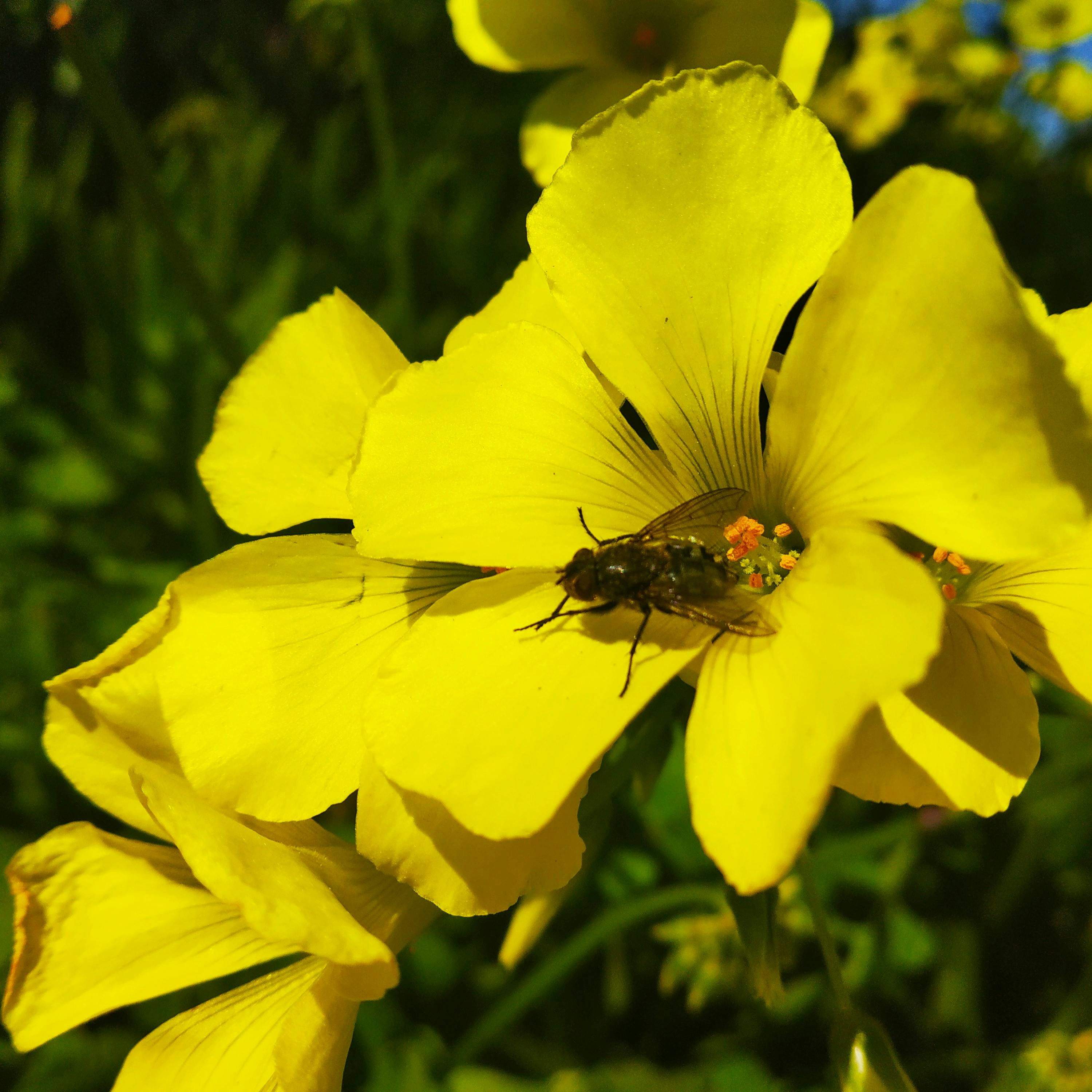 Women's Conference Live Stream