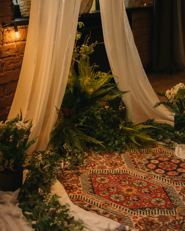 A Rug and Plants