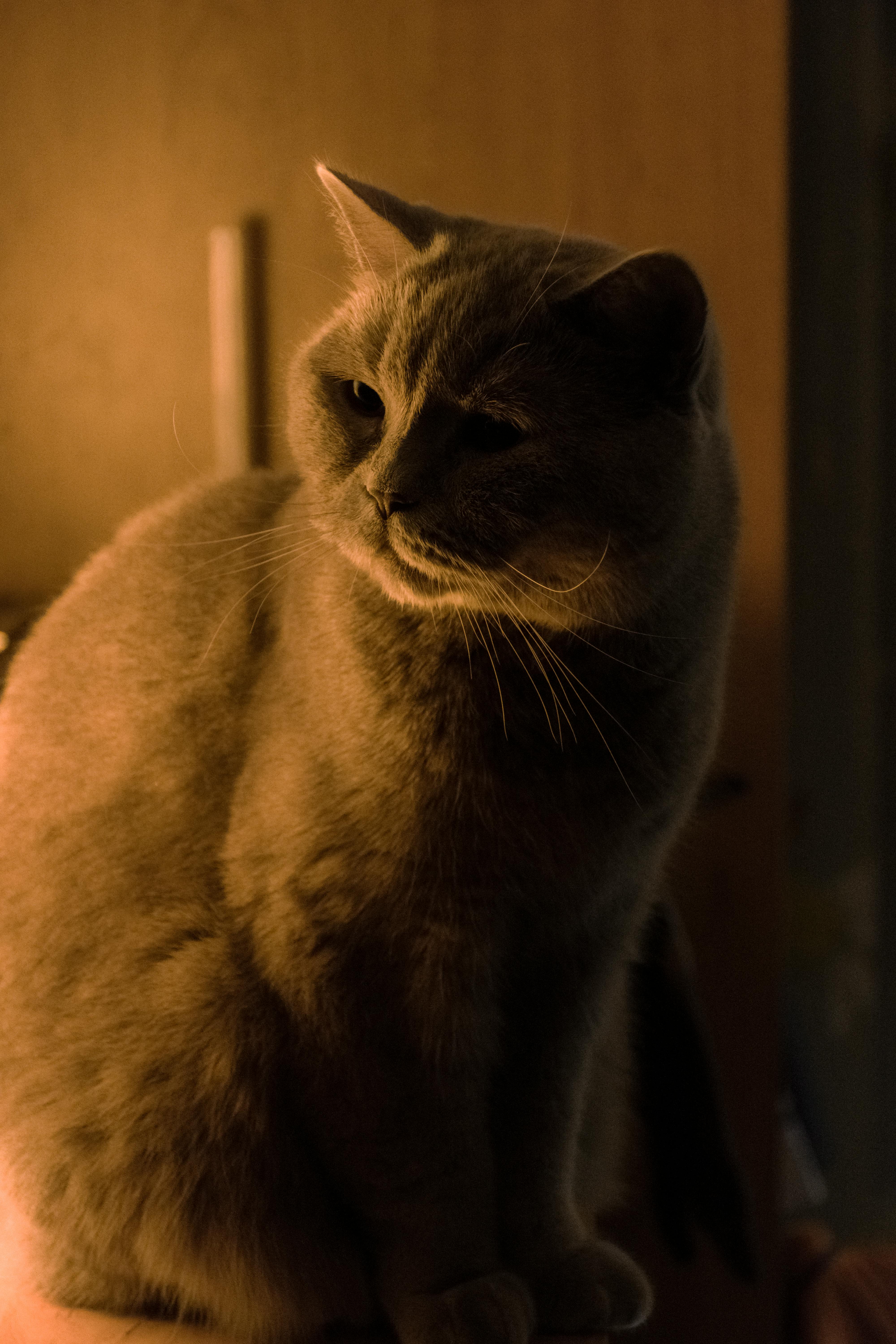 Intimate couple embrace on bed, soft lighting and rain-streaked window creating moody erotic atmosphere