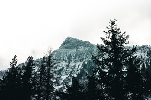 Free Dramatic view of a snow-covered mountain peak surrounded by pine trees in Banff National Park. Stock Photo