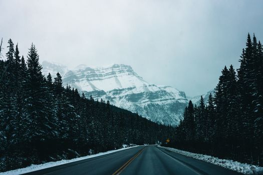 Snowy road cutting through a dense evergreen forest with rocky mountains in Banff National Park, Canada.