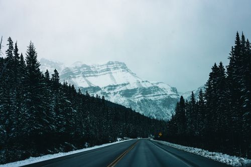 Free Snowy road cutting through a dense evergreen forest with rocky mountains in Banff National Park, Canada. Stock Photo