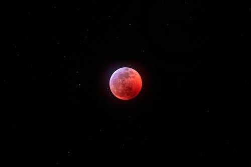 Free stock photo of black background, blood moon, bloodmoon Stock Photo