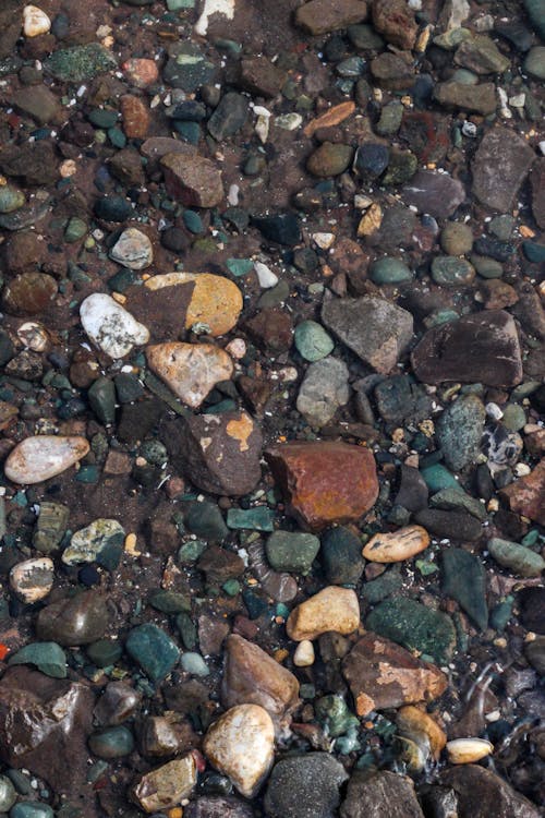 Free Close-up of Pebbles on the Ground  Stock Photo