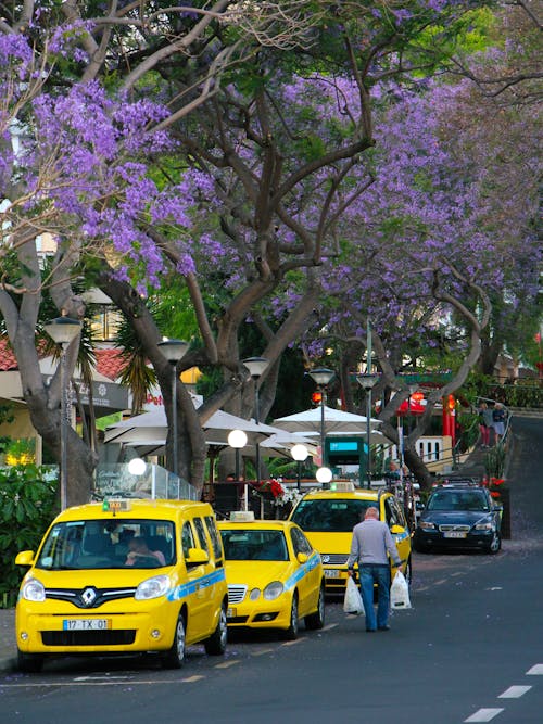 Foto profissional grátis de automóveis, cidade, cidades