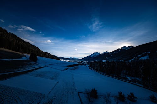 コールド, 冬, 夜明けの無料の写真素材