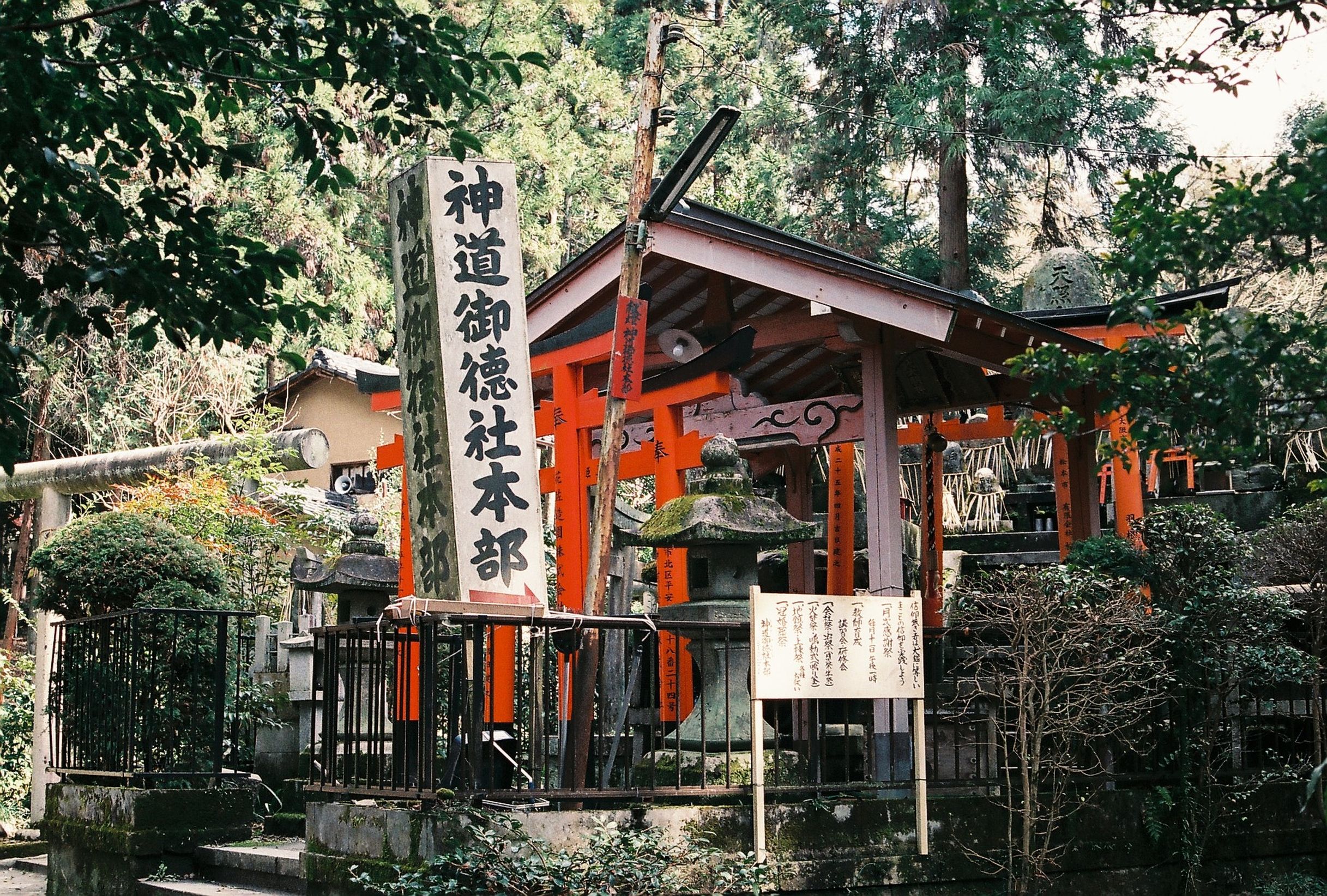 Explore the serene beauty of a Shinto shrine nestled in the lush greenery of Fushimi Inari. Explore the serene beauty of a Shinto shrine nestled in the lush greenery of Fushimi Inari.