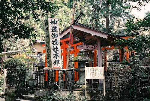 Japan Shinto shrine in forest
