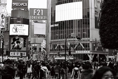 人群, 城市, 廣告牌 的 免费素材图片