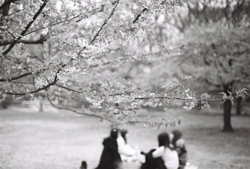 Friends on a Picnic in Black and White 