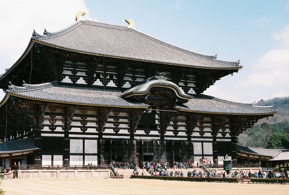 Wild deer roaming freely in Nara Park with the grand Todai-ji Temple in the background, Japan