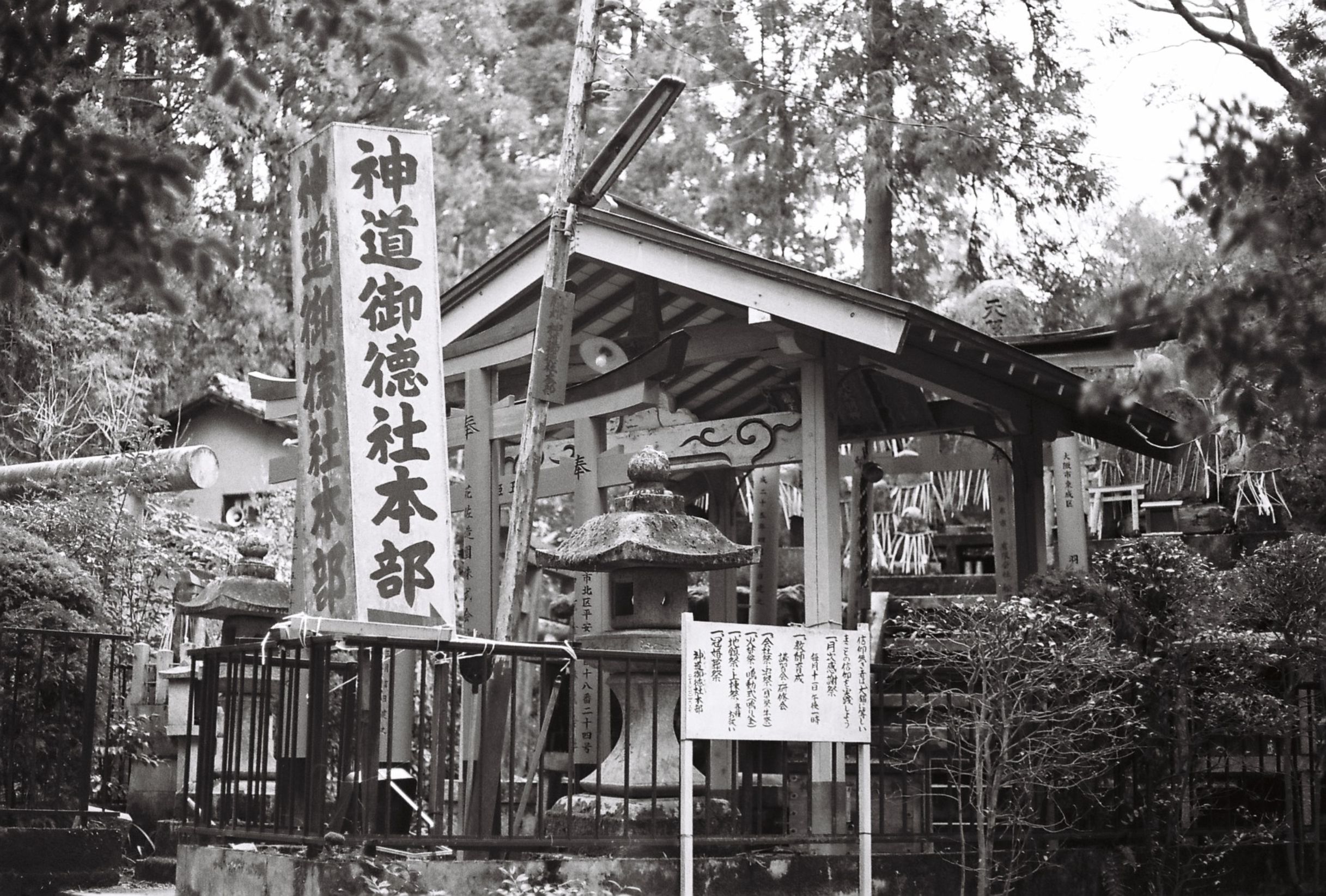 公園内の白黒の木造寺院 