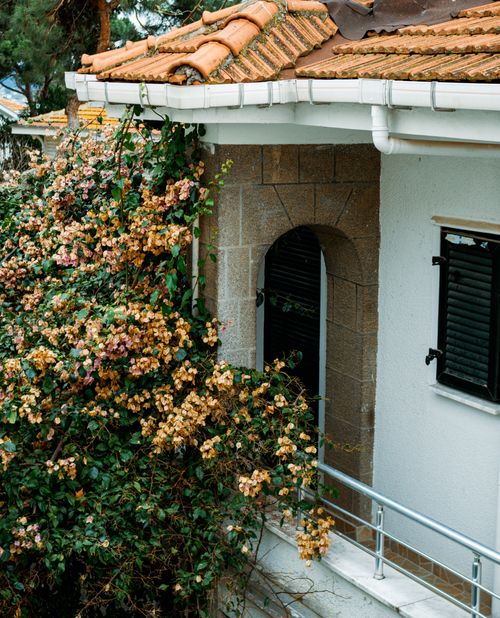Free House facade with blooming vines, arched doorway, and orange roof tiles showcasing spring beauty. Stock Photo