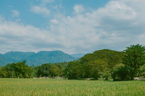 Free Peaceful lush green field with a mountain backdrop and blue sky, creating a tranquil natural landscape. Stock Photo