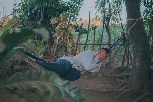 Free Young Man Sleeping in a Hammock Stock Photo